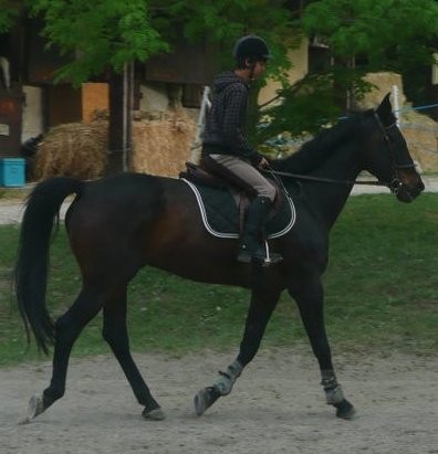 Photo de profil de jonas74160