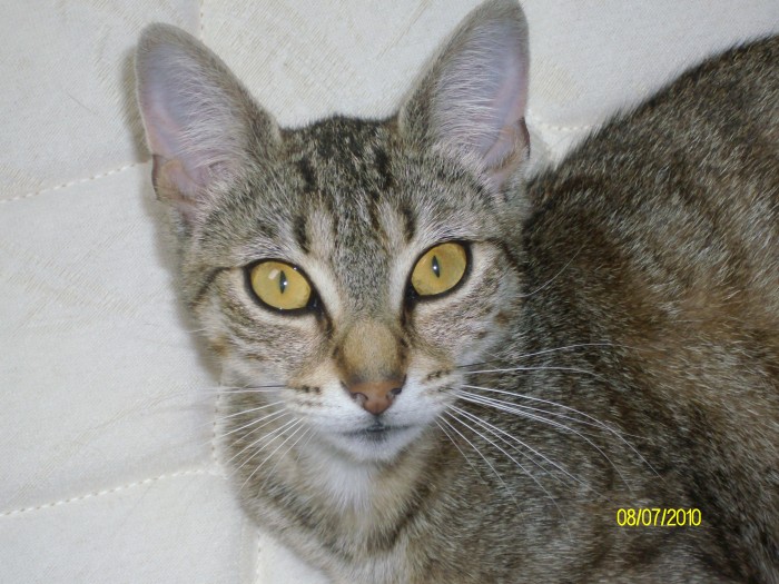 Photo de profil de nanojy