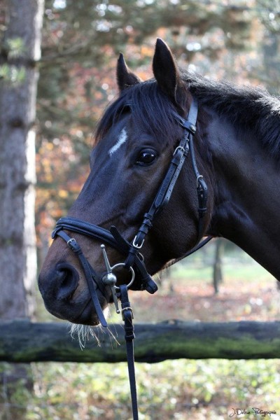 Photo de profil de kim93