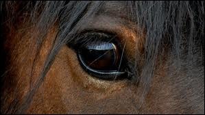 Photo de profil de missk