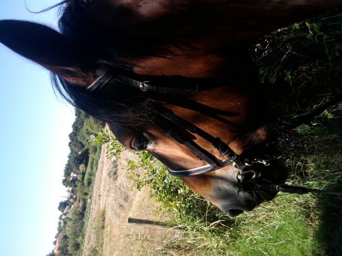 Photo de profil de aneley