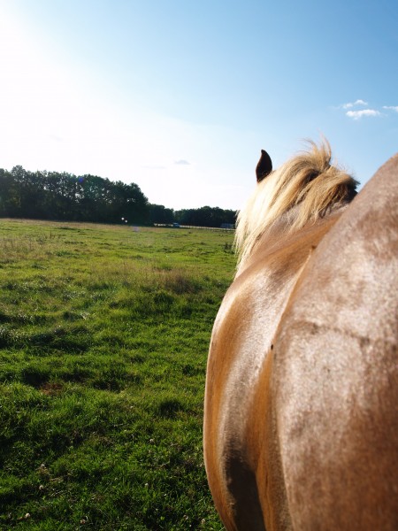 Photo de profil de tchoup