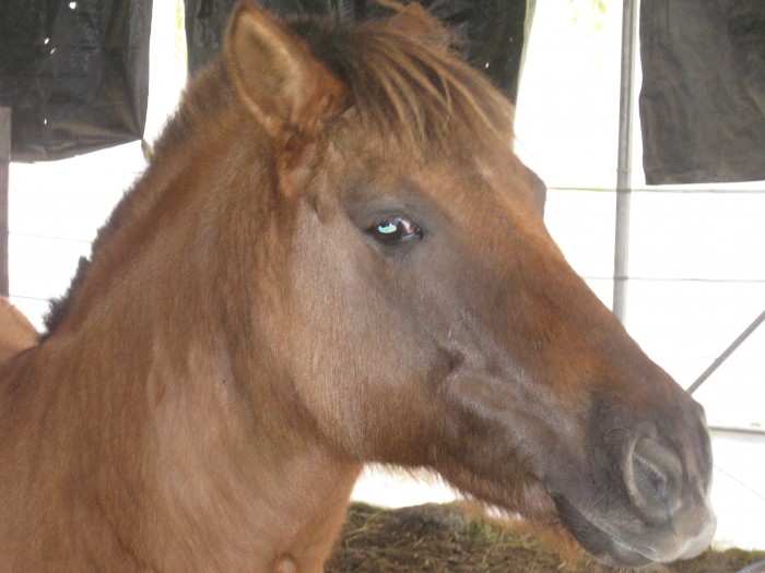 Photo de profil de pistachemuchot