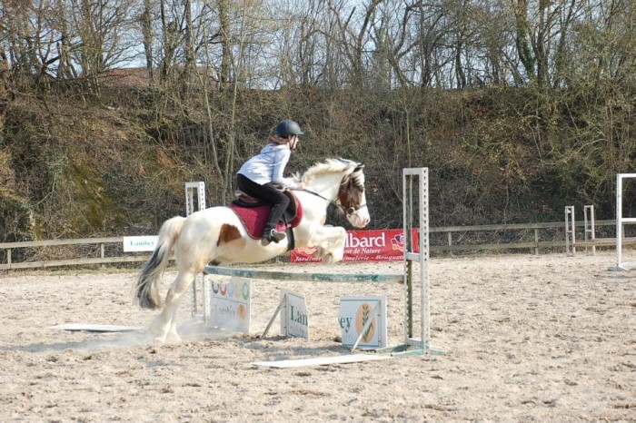 Photo de profil de mlleaudrey25