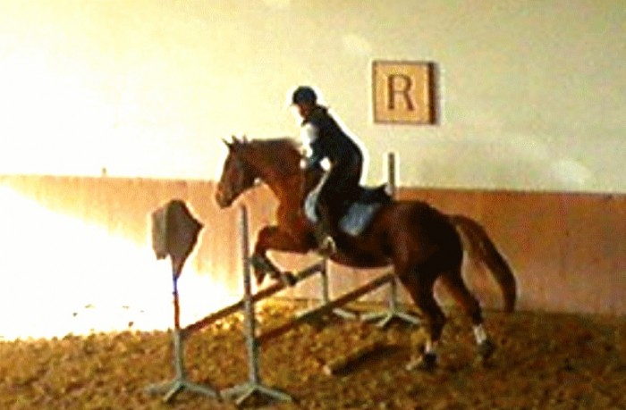 Photo de profil de fanny19