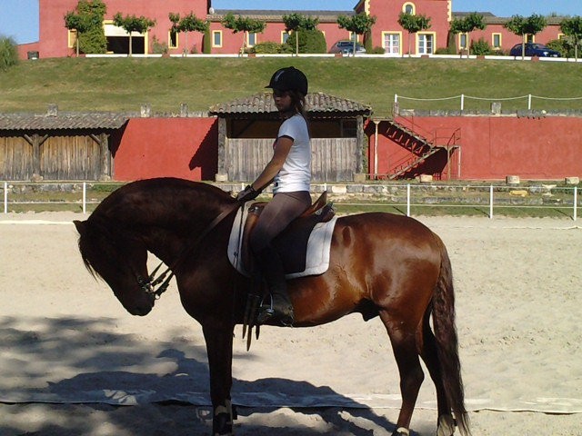 Photo de profil de chevalespoir33g