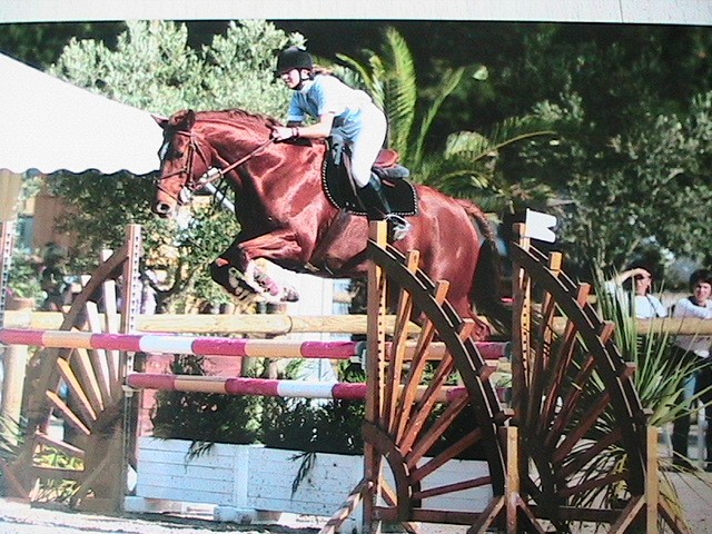 Photo de profil de chloequi