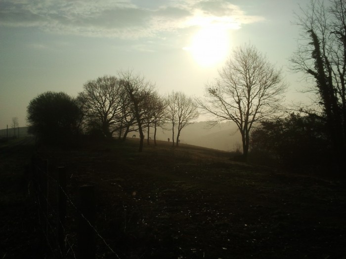 Photo de profil de irunaga