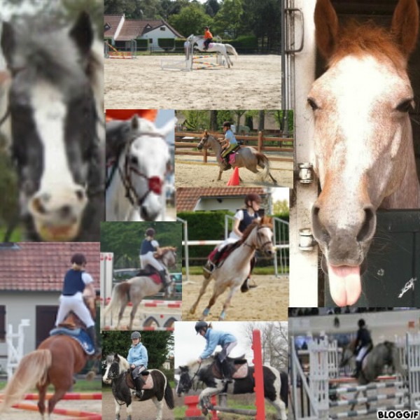 Photo de profil de elise62520