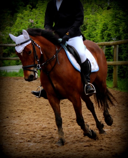 Photo de profil de quebecducolis