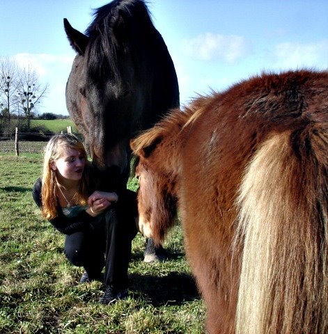 Photo de profil de miisscheval