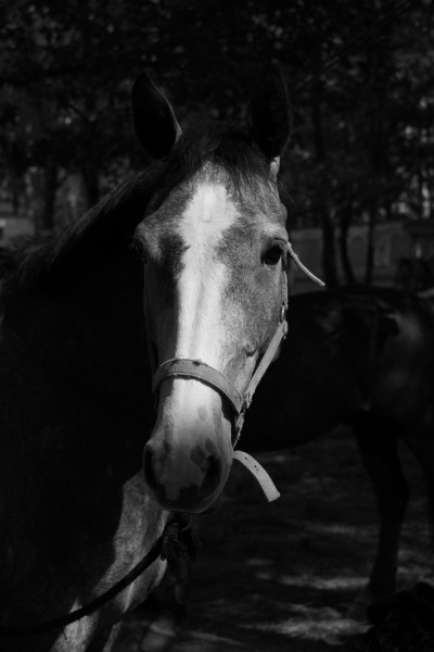 Photo de profil de touareg31