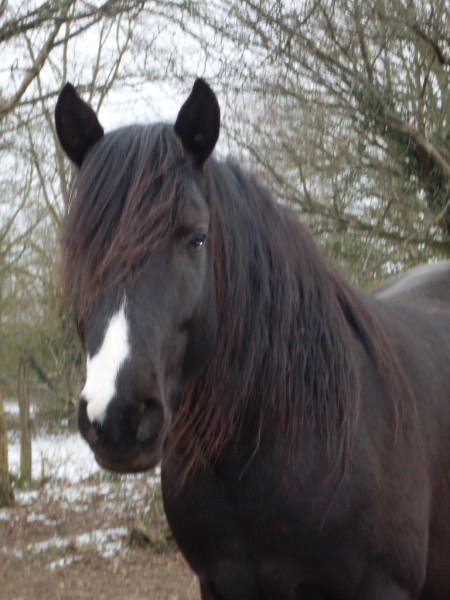 Photo de profil de zini