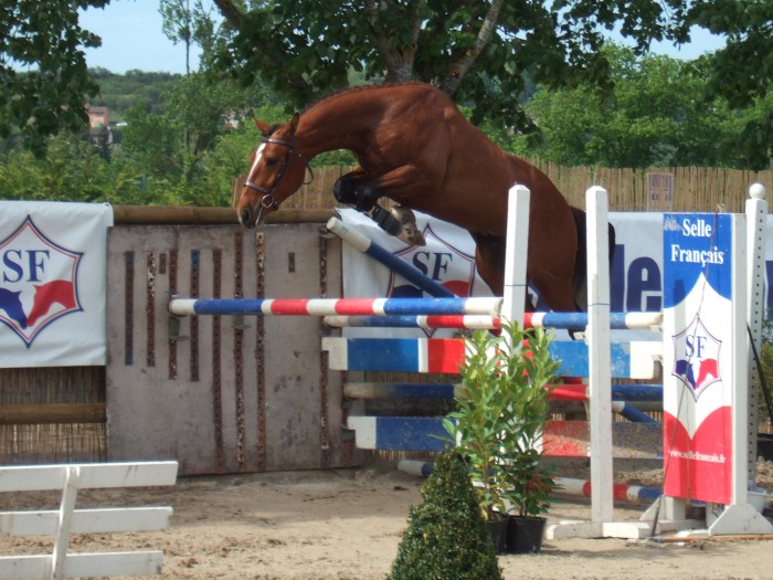 Photo de profil de philippe