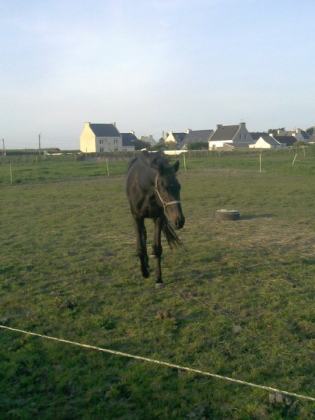 Photo de profil de patrycya1976