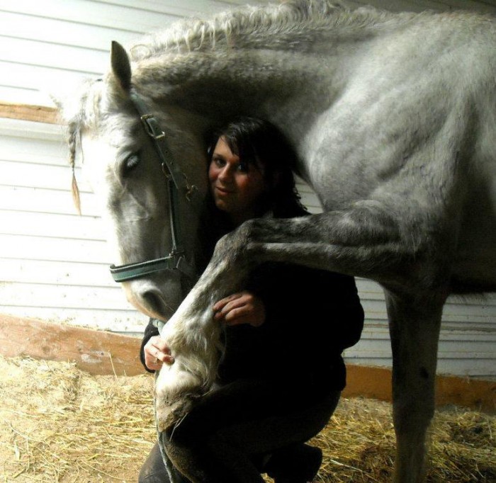 Photo de profil de castel_poney