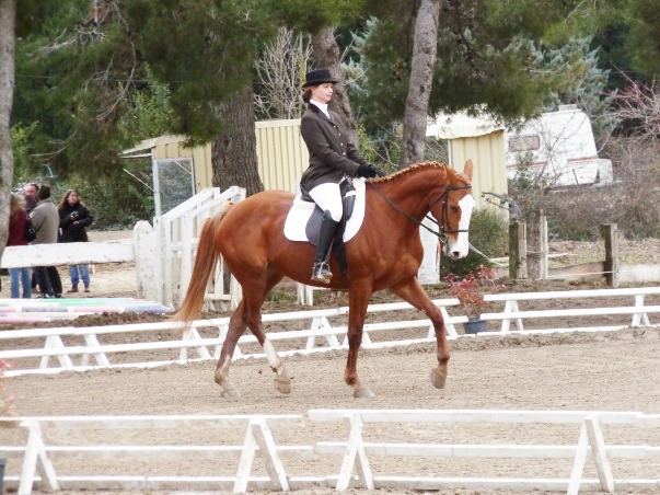 Photo de profil de tana13