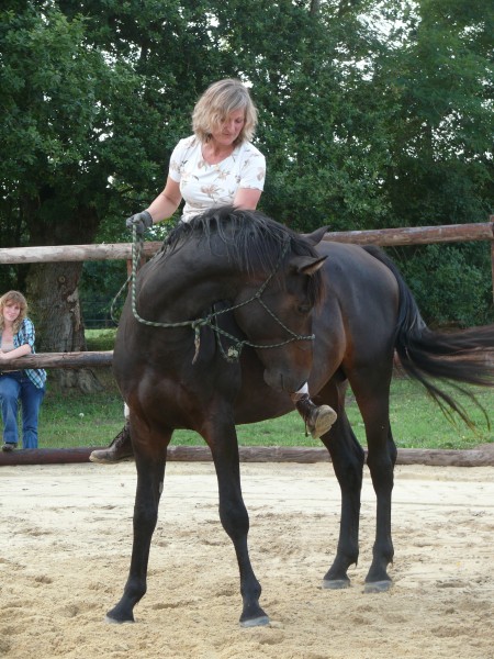 Photo de profil de equitact72