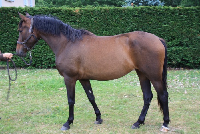 Photo de profil de gustosa