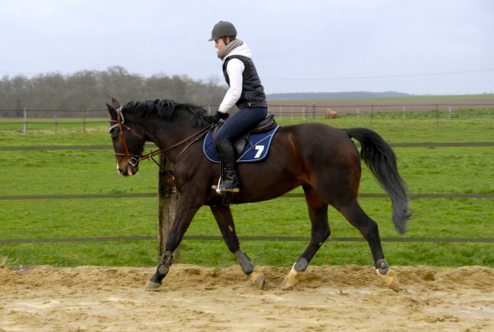 Photo de profil de ceciiiiileee