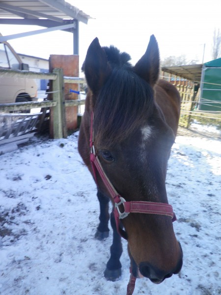 Photo de profil de zazaelsa