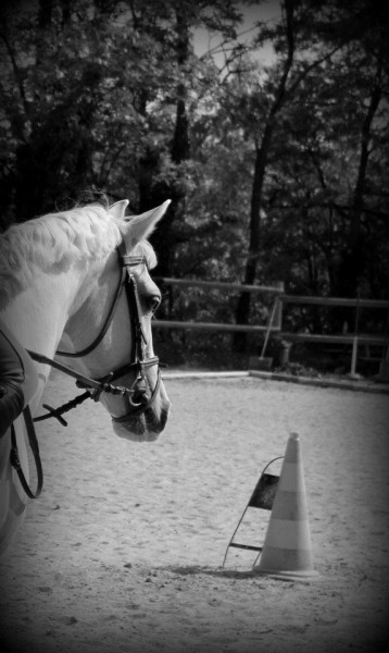 Photo de profil de offman26