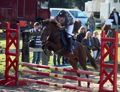 Photo de profil de poneyminelli12