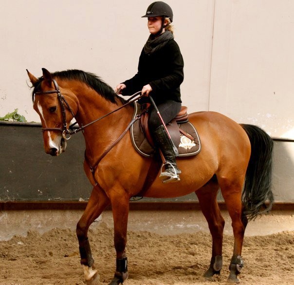 Photo de profil de sashenkina
