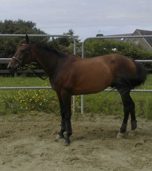 Photo de profil de juliane123