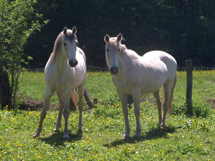 Photo de profil de feriadream