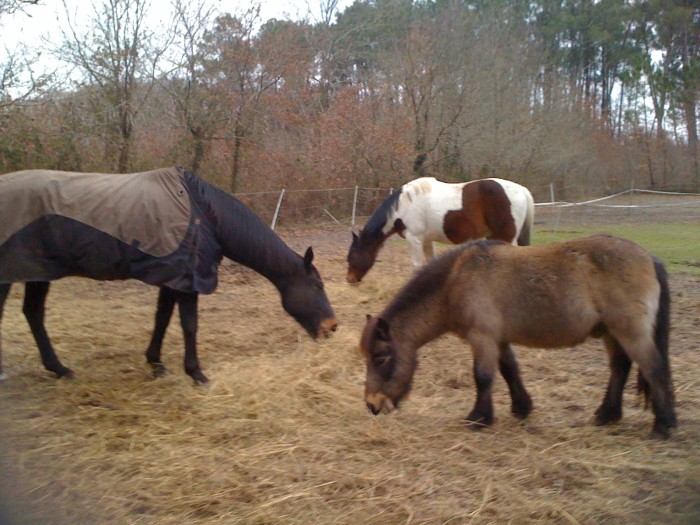 Photo de profil de vanille33