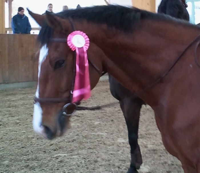 Photo de profil de verophenomene