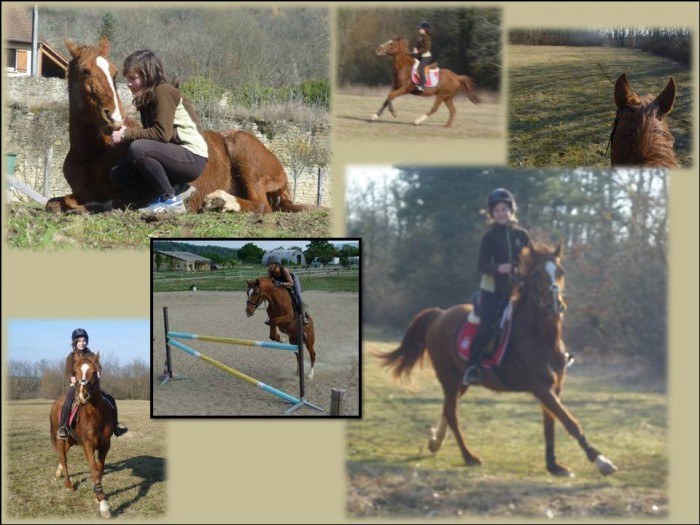 Photo de profil de pylgreen