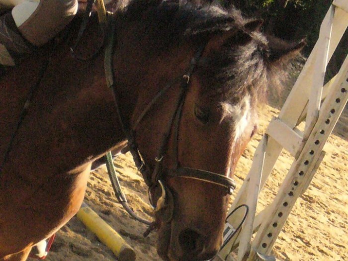 Photo de profil de passepartout