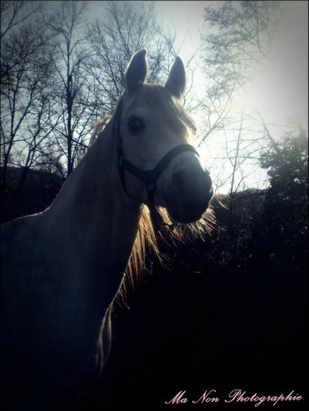 Photo de profil de gipsy34