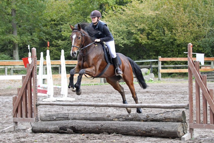 Photo de profil de ophelievignolle