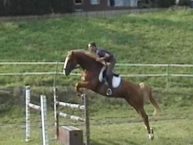 Photo de profil de sami1