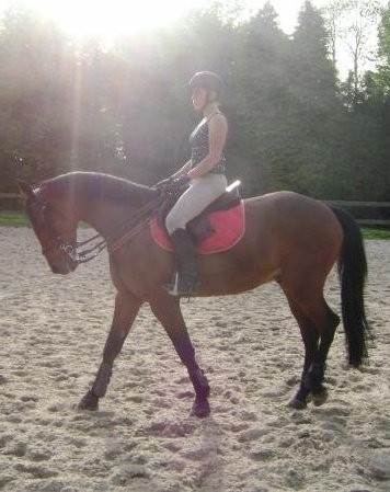 Photo de profil de chris93