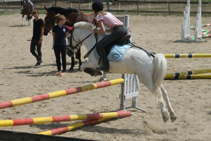 Photo de profil de maurane0399