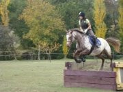 Photo de profil de confetti