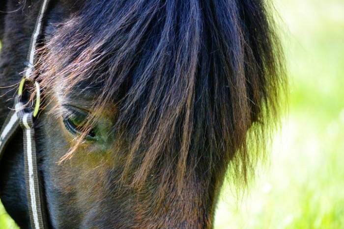 Photo de profil de priincesse