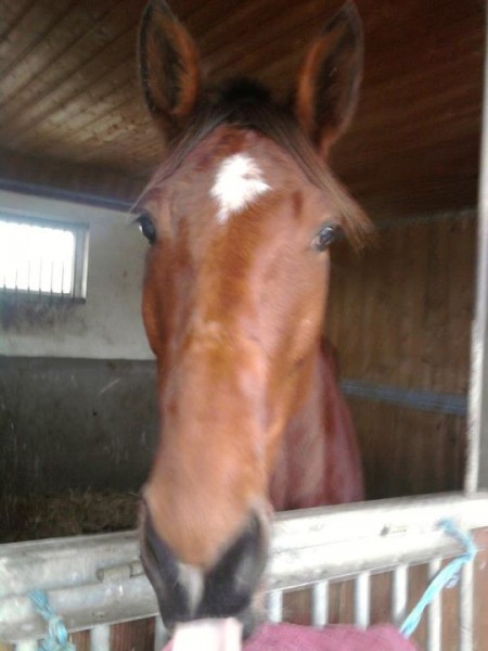 Photo de profil de jukiwi