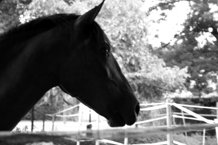 Photo de profil de itspauline