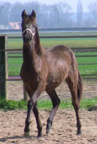 Photo de profil de antalia57