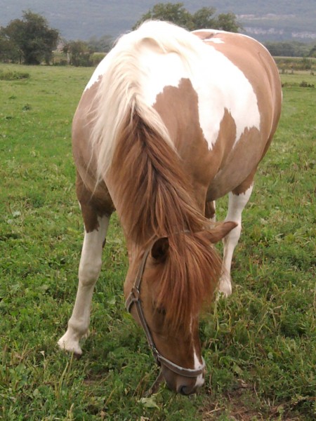 Photo de profil de jadounette73
