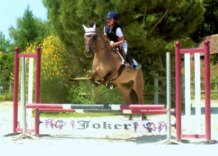 Photo de profil de sarahors