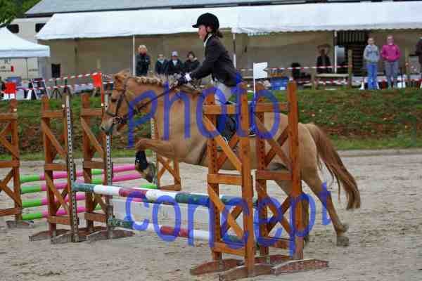 Photo de profil de cheval21200