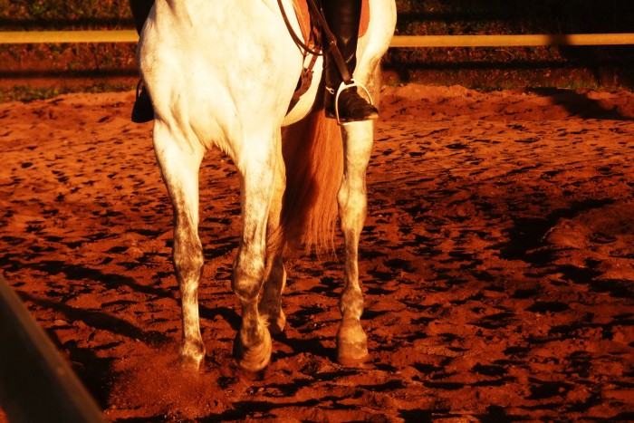 Photo de profil de meli85