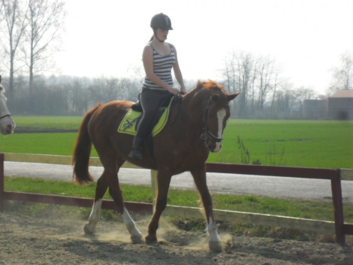 Photo de profil de euromec