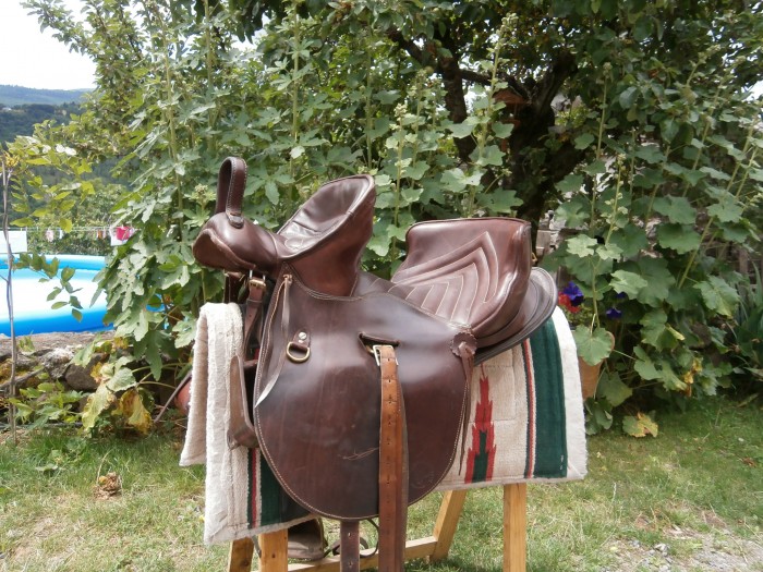 Photo de profil de luna15